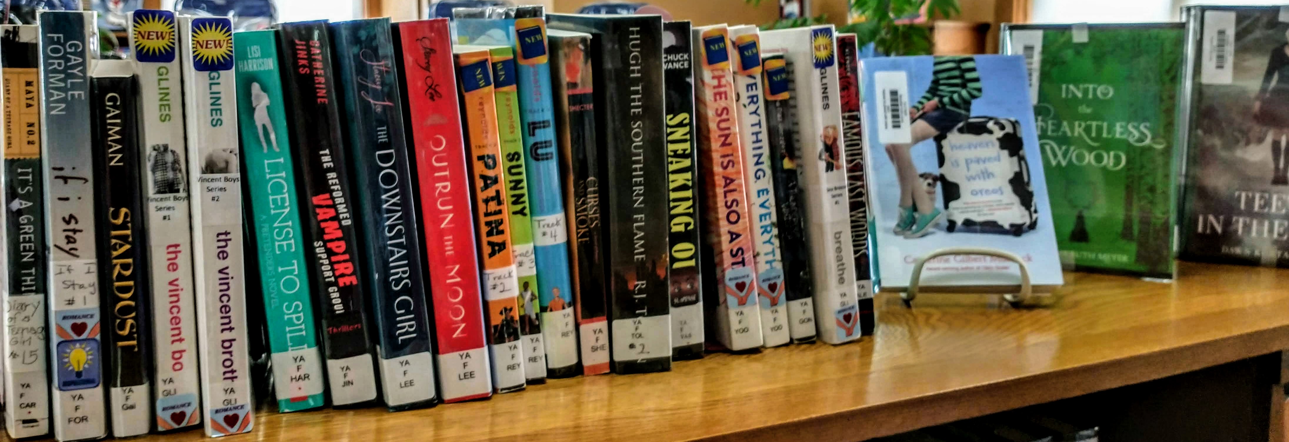 New YA & recent (be the 1st to read them!)